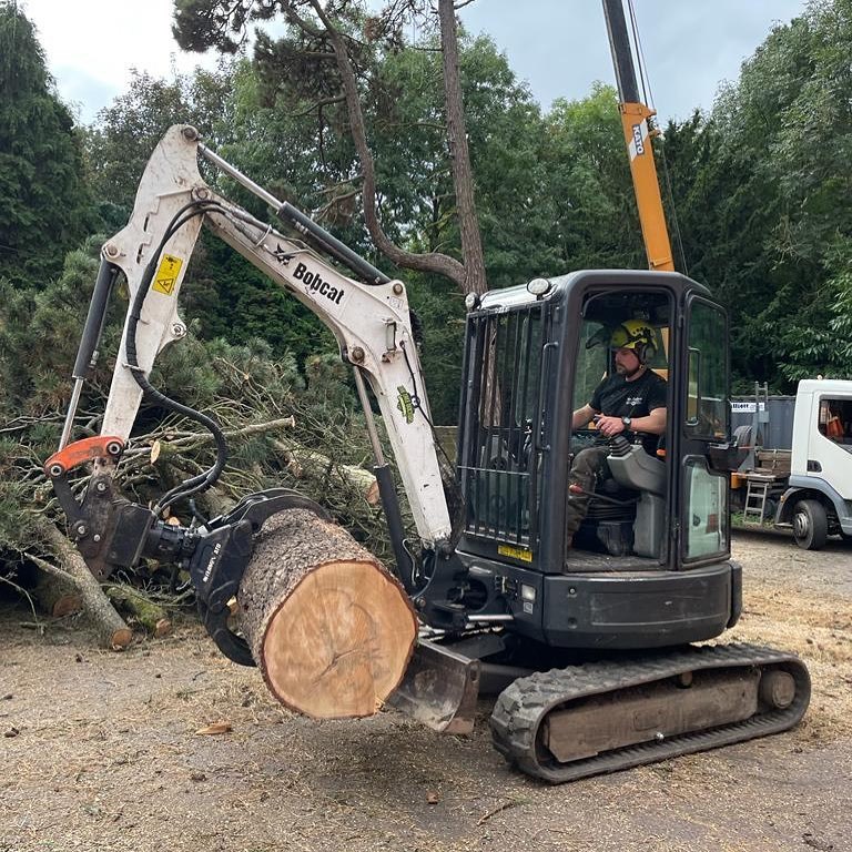 Tree trunk Clearance