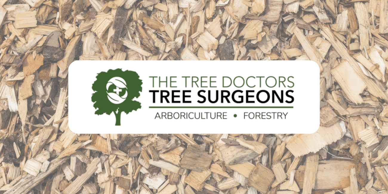 Biomass woodchips and thier importance in the world - The Tree Doctors
