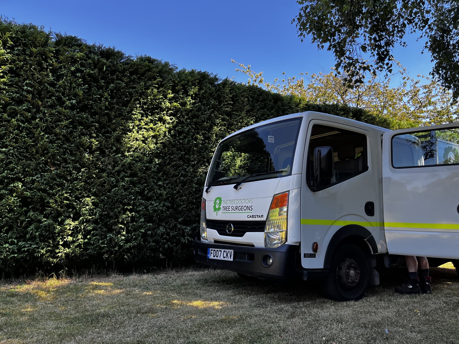 neat hedges trimming services