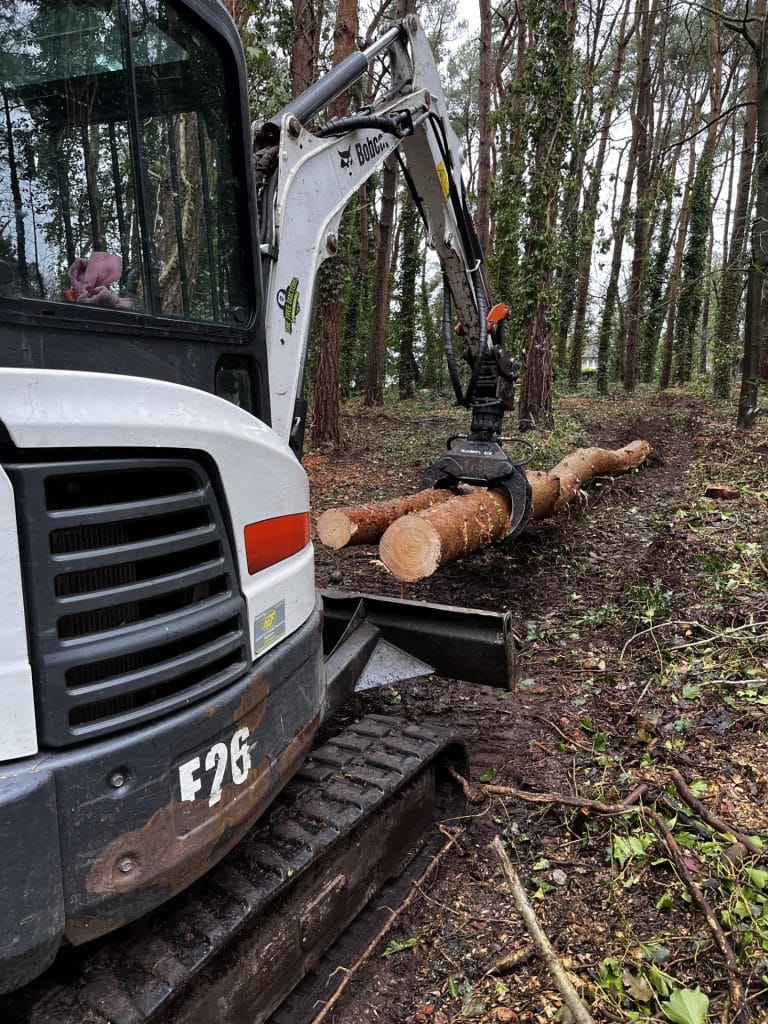 Tree logs removal