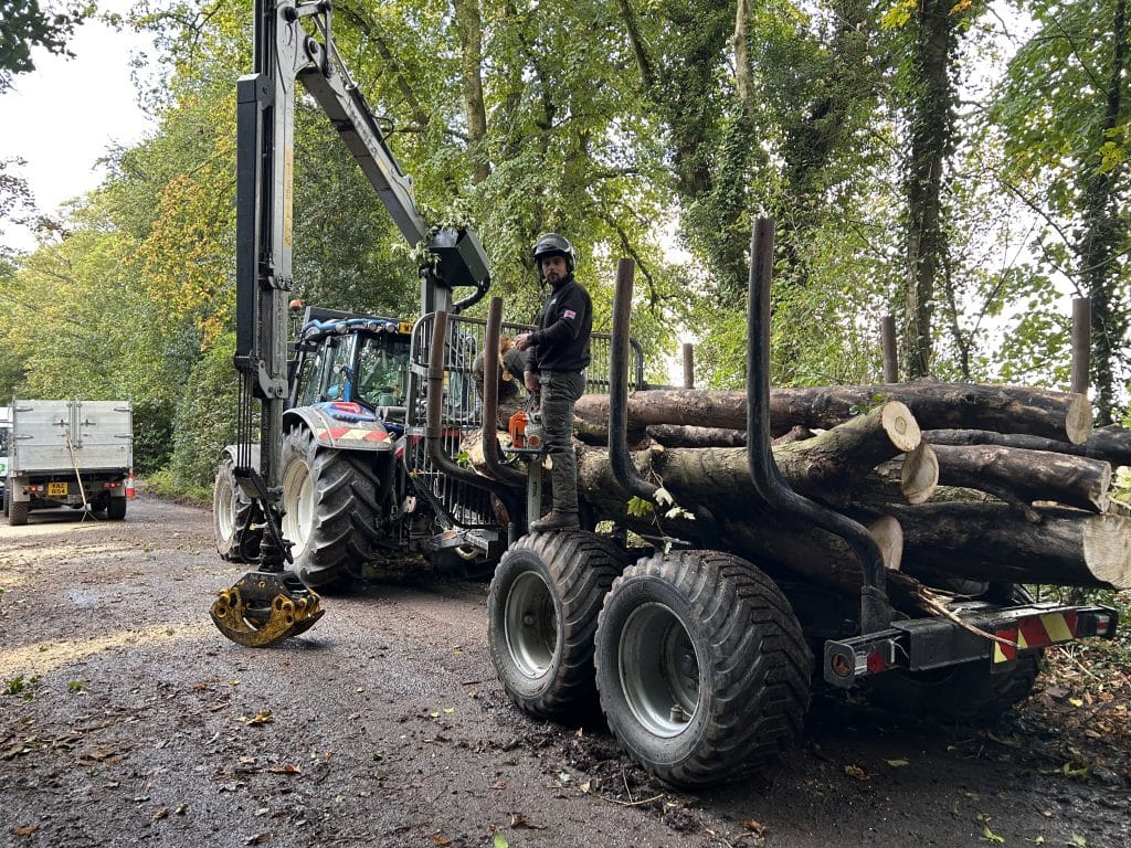 tree reductions and removals