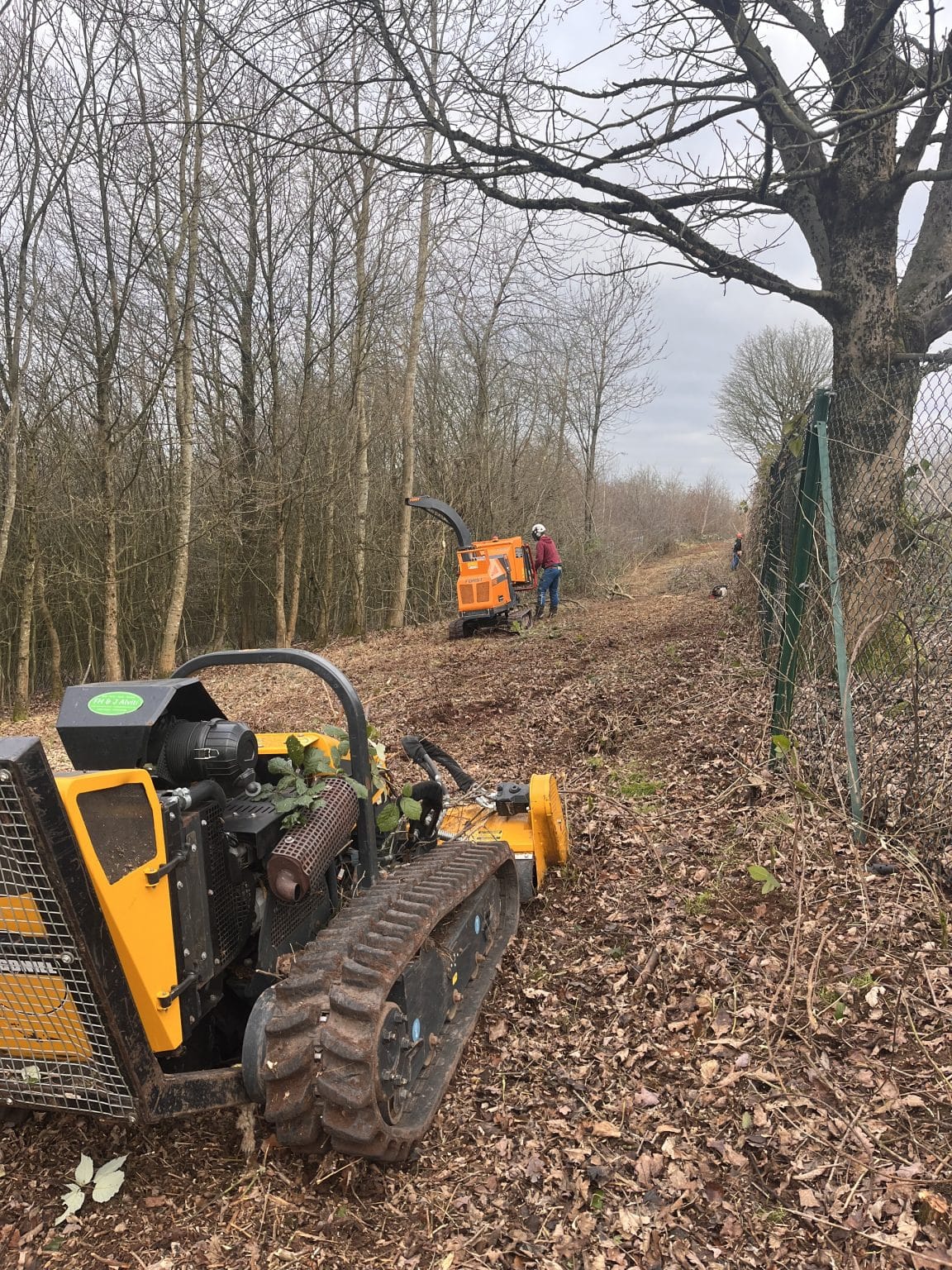 tree mulching service for walking paths