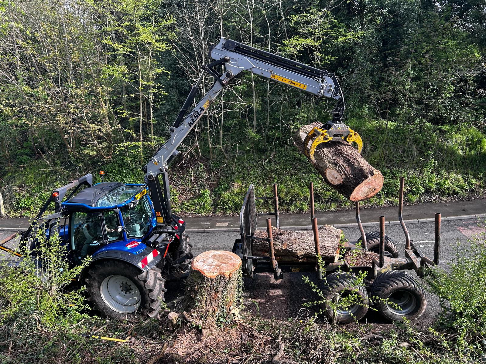 log removal and disposal with excavator