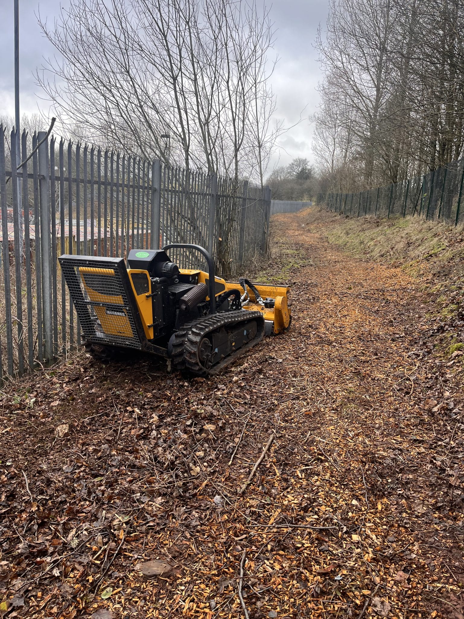 vegetation clearance and mulching