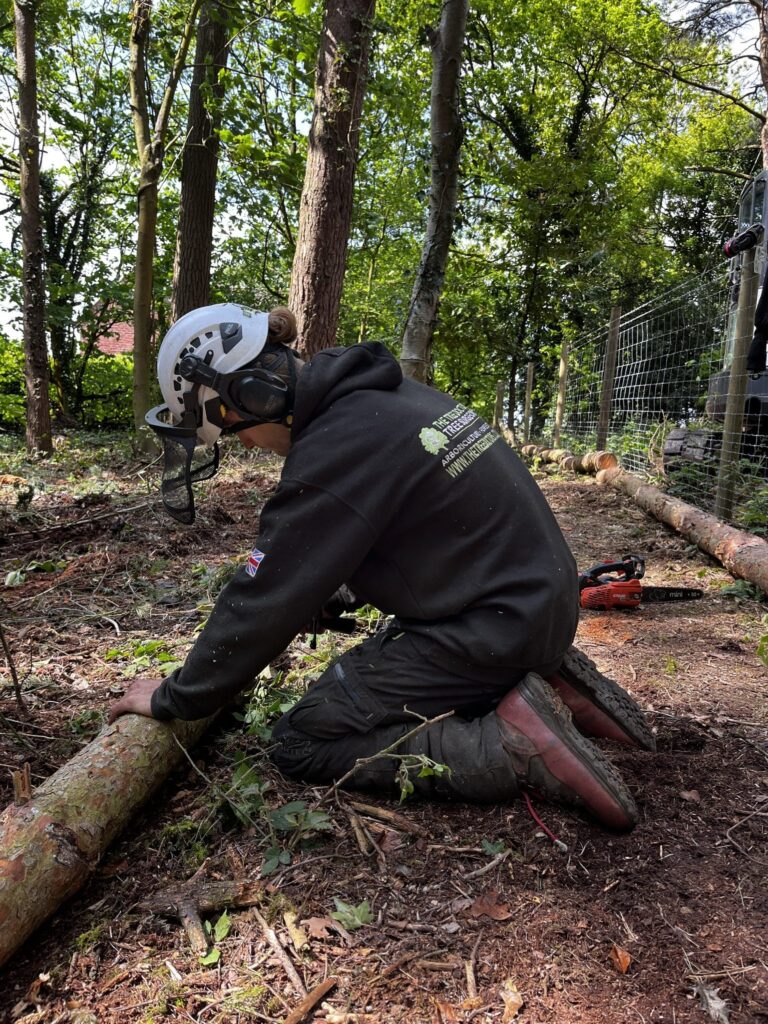 Tree Surgeon Lichfield