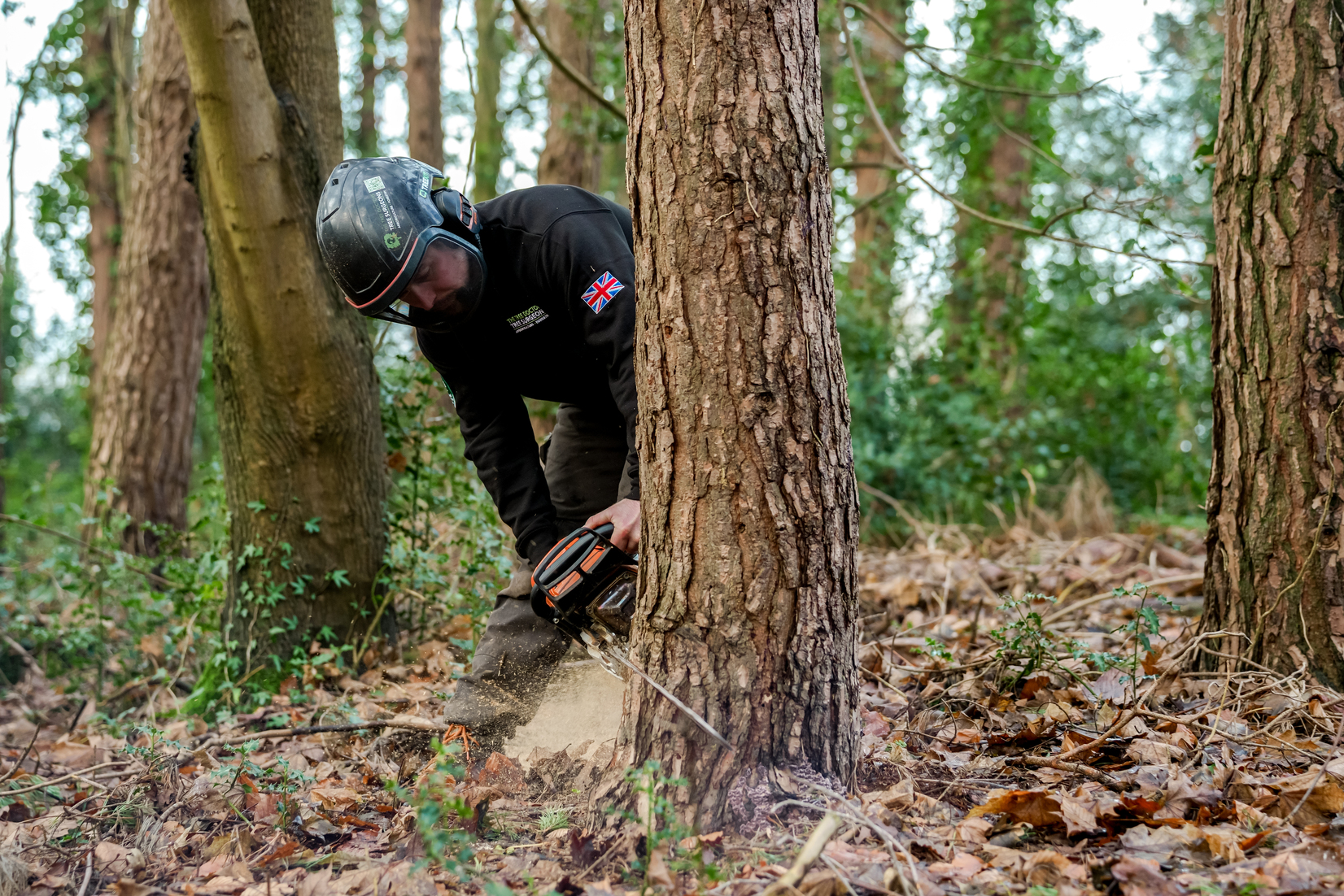 TheTreeDoctor-Decemebr2025-150