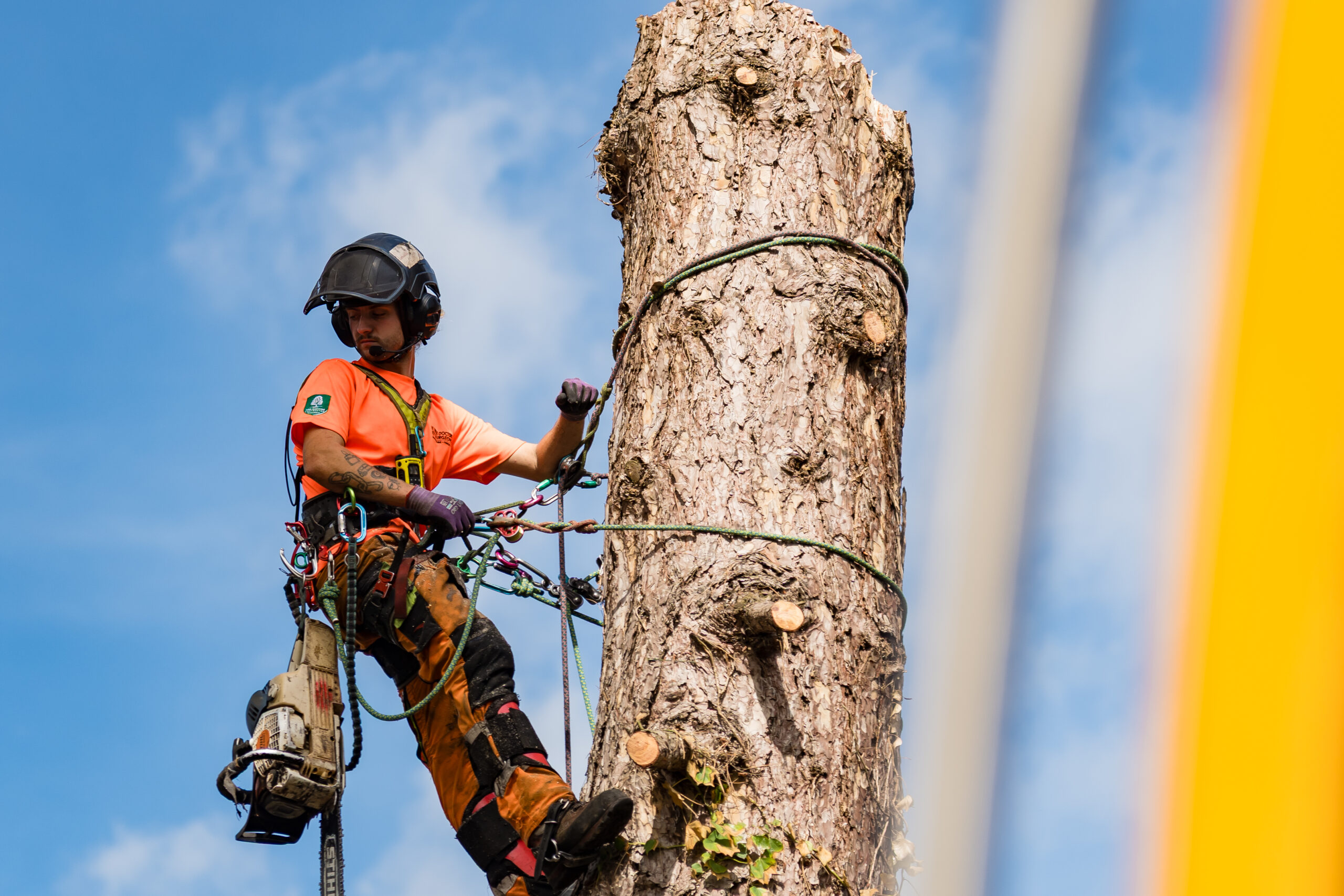 Tree Surgeons West Midlands