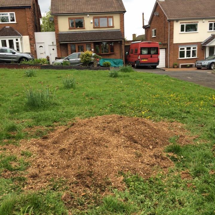 Removed Tree Stump. dirt mound on grass area